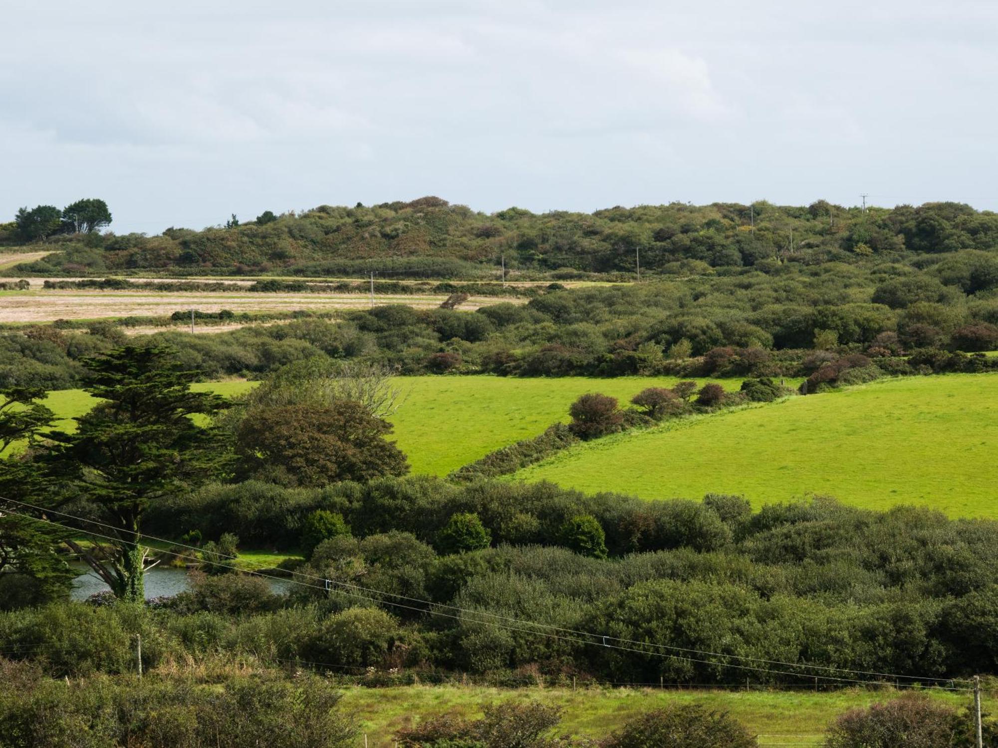 Rosecott Villa St Ives Екстериор снимка